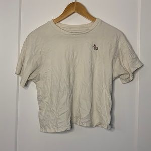 American Eagle Piñata Crop